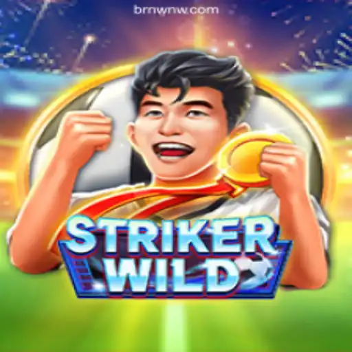 StrikerWILD: The Ultimate Gaming Experience Powered by NWNW